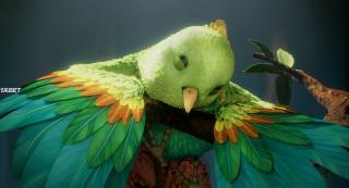   (2024)