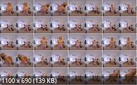 StripzVR - Natasha Anastasia : Weekend Workout (UltraHD/4K/2880p/2.36 GB)