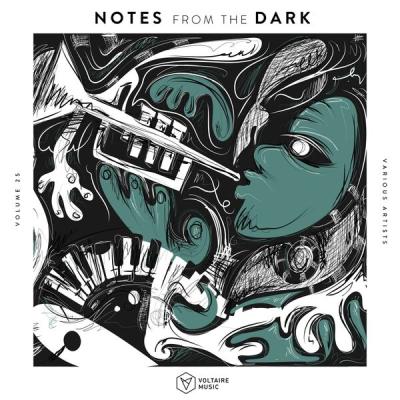 Various Artists - Notes from the Dark, Vol. 25 (2025) [FLAC 16B-44.1kHz]