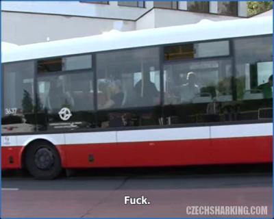 [Image: f1875877687da2362f4ee6943affb3af.jpeg]