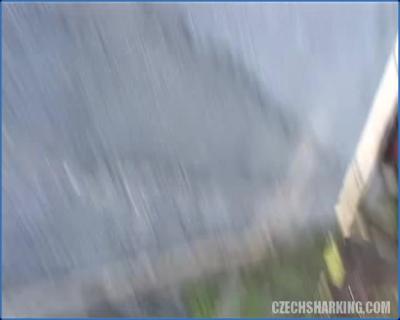 [Image: 72760551a7f1b8b280fabb0bdea898cc.jpeg]