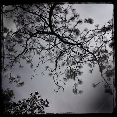 Dirk Serries - Treasure Of Stars (Streams Of Consciousness) (2025) [FLAC 24B-96kHz]