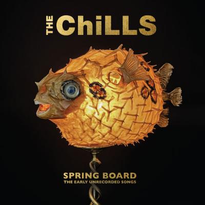 The Chills - Spring Board The Early Unrecorded Songs (2025) [FLAC 24B-48kHz]