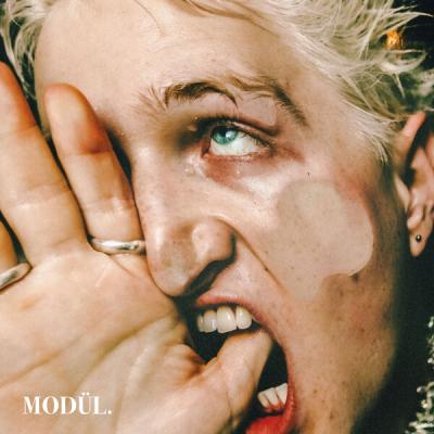 Various Artists - MODÜL. VA 001 (2025) [FLAC 24B-48kHz]