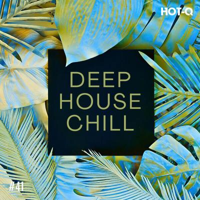 Various Artists - Deep House Chill 041 (2025) [FLAC 16B-44.1kHz]