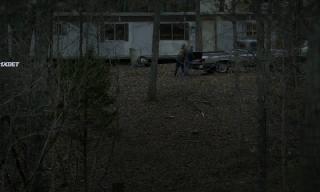  (2024)